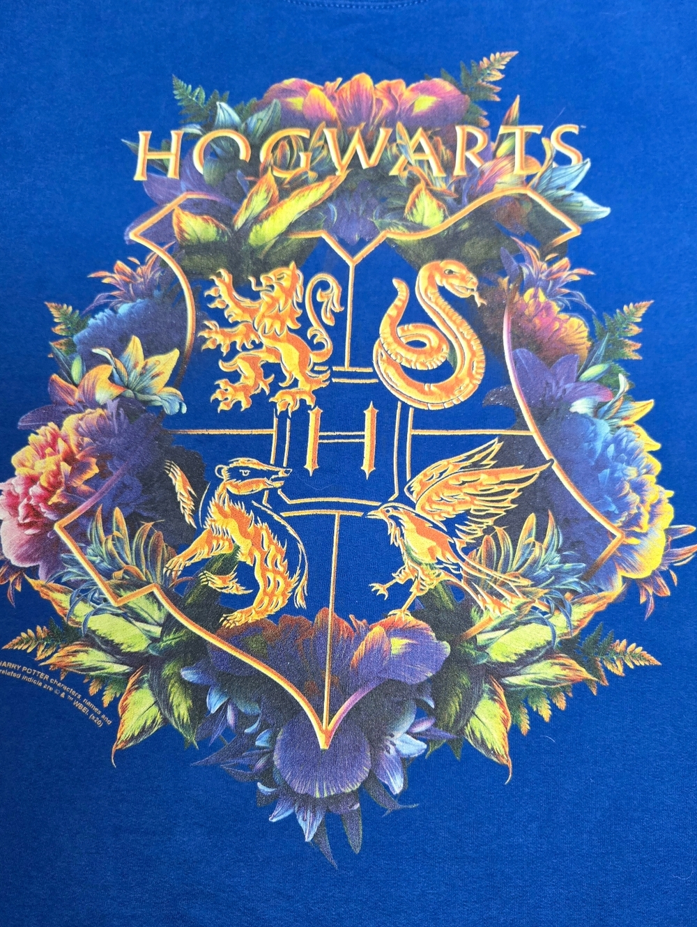 Hogwarts Sweatshirt
